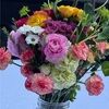 daisy82283